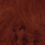Корень ореха глянец